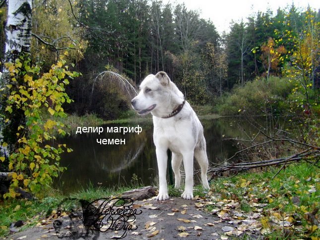 dsc00775_-_kopiya.jpg