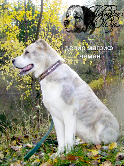dsc00789_-_kopiya.jpg