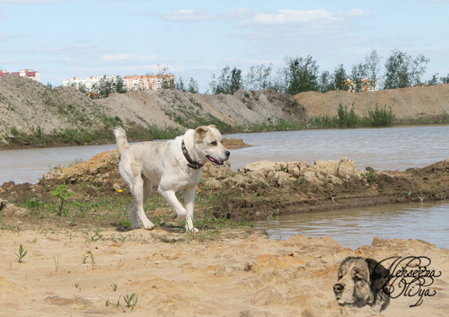 img_4870_-_kopiya.jpg