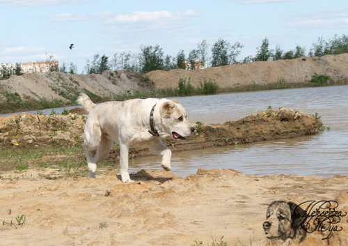 img_4872_-_kopiya.jpg