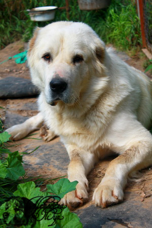 img_5993_-_kopiya.jpg